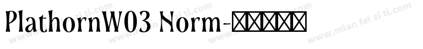PlathornW03 Norm字体转换